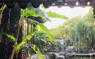 雨辰游玩攻略，雨辰游玩攻略大全