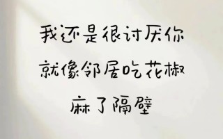 沙雕爽文文案，沙雕文案段子