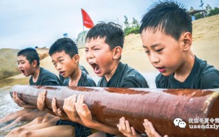 小学放暑假文案搞笑沙雕，小学放暑假文案搞笑沙雕图片