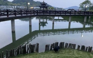 凤凰湖立春游玩攻略图，凤凰湖立春游玩攻略图片