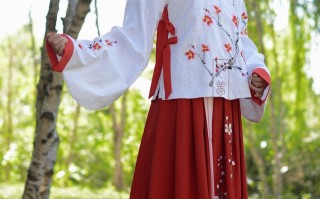 汉服穿搭假发，汉服穿搭假发图片