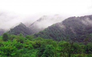 东沟游玩攻略，东沟风景区游玩攻略