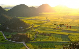 瑞安春天游玩攻略，瑞安春天游玩攻略一日游