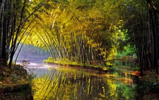 同里湿地公园游玩攻略，
