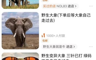 大象沙雕文案，大象沙雕文案怎么写